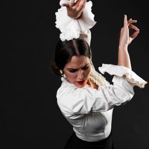 Flamenco Sevilla